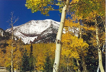 157. Humphreys Peak is the highest summit of the San Francisco Peaks and Arizona.