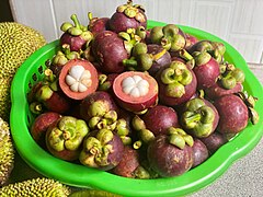 Mangostana