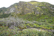 G. Merapi, Ijen