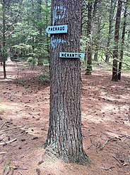 Nehantic & Pachaug shared trail portion's eastern junction.