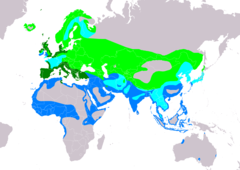 Distribución de Tringa totanus