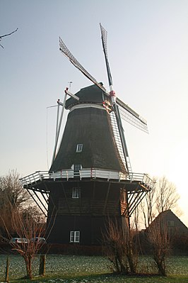 De Vlijt (2008)