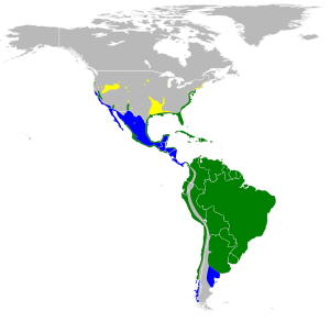 Natura arealo; flave : nur reproduktado, blue : vintrejoj, verde : ambaŭ