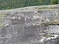 Helleristningene ved Sagelva i Nordland. Avbildning av to reinsdyr sees noe over midten av bildet Foto: Bjørn som tegner