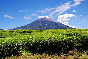 Mount Kerinci, the highest peak in Sumatra Island