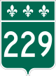 B229