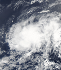 Tropical Depression Ten shortly after formation on August 13