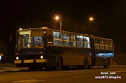 914-es busz Káposztásmegyeren