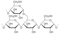 Ausschnitt aus einem Amylopektinpolymer