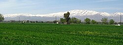 Zakiyah with Mount Hermon in the background