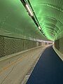 Fyllingsdalstunellen er en gang- og sykkeltunnel (altså med sykkelfelt og gangsti; ikke strengt tatt en sykkeltunnel) med litt forhøyet fortau