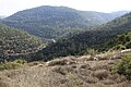 Distant mountain rising above Nahal Sorek