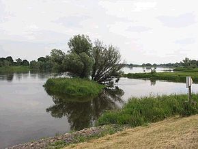 Oder Kienitz ve Zollbrücke arasında, Almanya