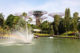 Image illustrative de l’article Gardens by the Bay