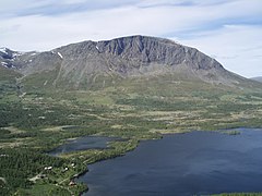 Skogshorn in Summer