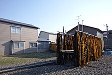 Konbu-Trocknung, Wakkanai 2018