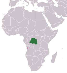 Phạm vi cầy mangut lùn Angola (xanh lục - còn tồn tại, hồng - có thể còn tồn tại)