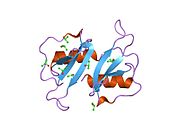 1m8a​: Ljudski MIP-3 alfa/CCL20