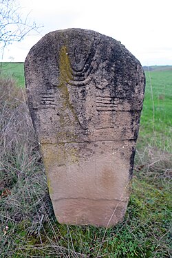 Image illustrative de l’article Statue-menhir d'Anglas