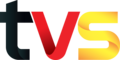 TVS logo used since 31 December 2023