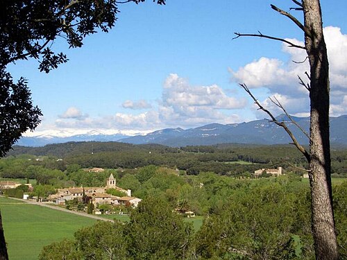 Poble de Vilert, on es troben les dues fonts amb exemplars coneguts de V. galeata