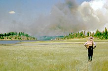 Firefighter walks towards a distant fire in 1953