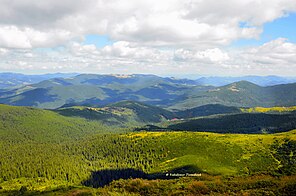 Українські полонини