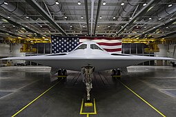 B-21 Plant 42:ssa.