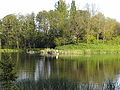 Lake in Mezőcsokonya