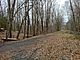 A trail intersection with bare trees and dead leaves.