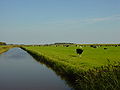 Texel, Noord-Holland