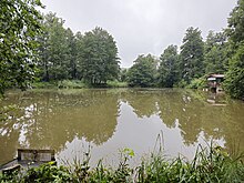 Weiher Remelberg.jpg