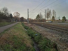 Der Alfterer Bornheimer Bach am Austritt an der Stadtbahn-Haltestelle „Alfter/Alaunus Hochschule“