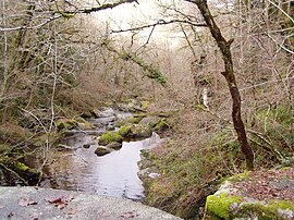 The Maulde river, at the foot of the Jarrauds waterfall