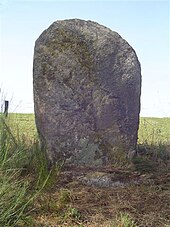 Statue-menhir du Vacant de Rieuviel