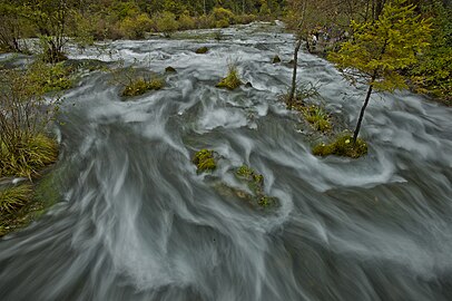 Pearl Shoal rapids