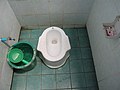 A pedestal squat toilet found in Chiang Dao, Thailand