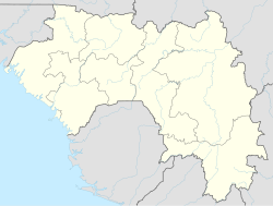 Bossou is located in Guinea