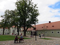 Národní hřebčín Kladruby nad Labem