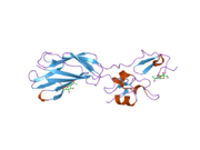 1yuk: The crystal structure of the PSI/Hybrid domain/ I-EGF1 segment from the human integrin beta2 at 1.8 resolution