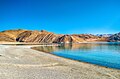 Pangong Tso lake in Ladakh