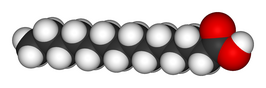 Molecuulmodel van myristinezuur