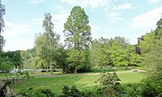 Dowesee im Schul- und Bürgergarten