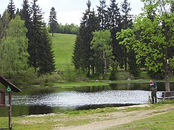 Fishpond at Bedřichov