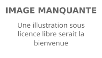 Image illustrative de l’article Place Bara