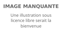 Description de l'image defaut.svg.