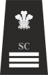 Gwent Special Chief Inspector Rank Insignia