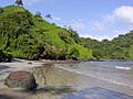 Bahía Chatham, Coco wat'a (Isla del Coco)