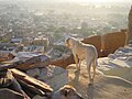 Jaisalmer