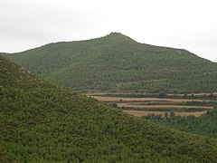 Puig de Sant Miquel (730m)